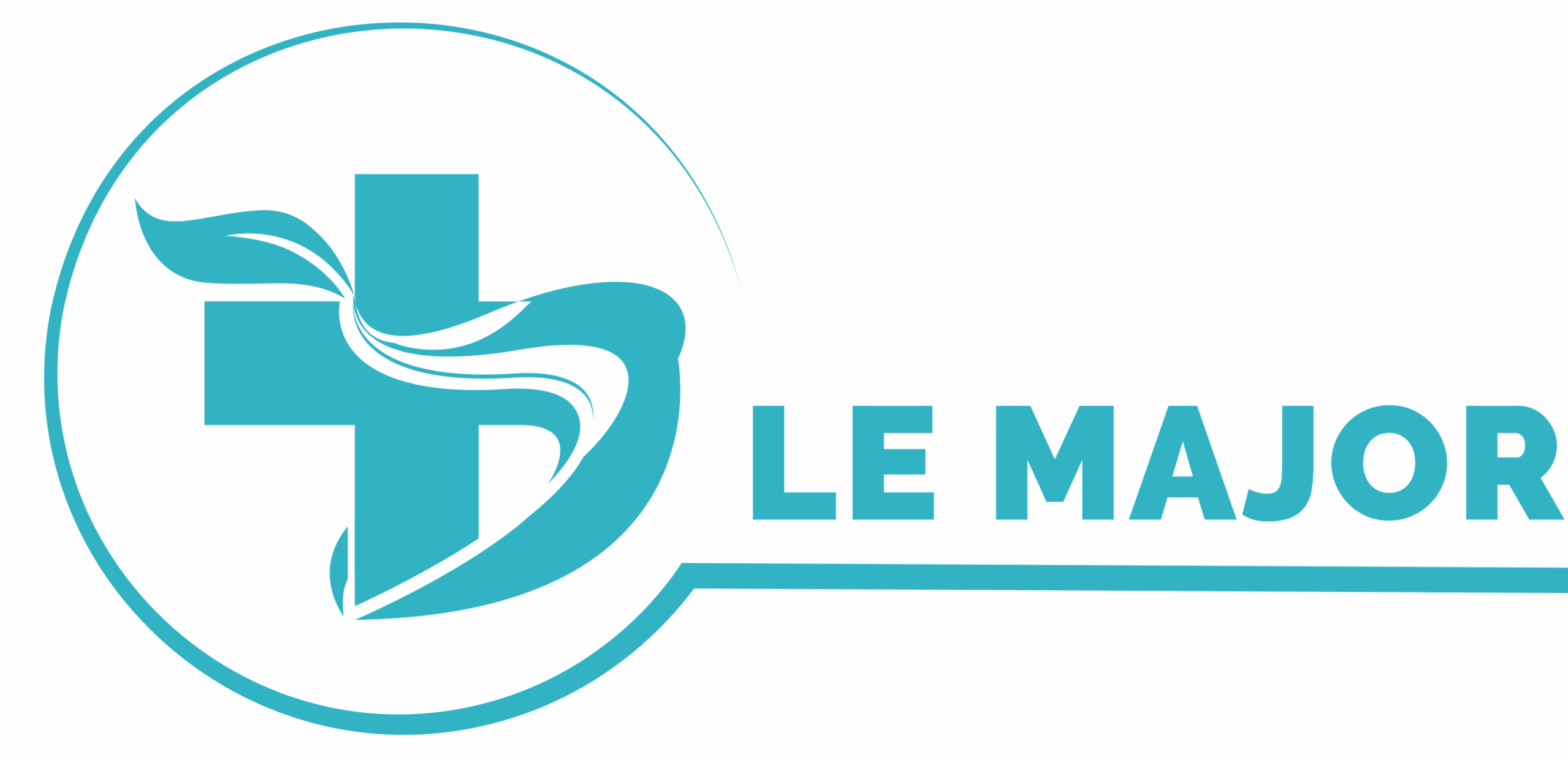 LE MAJOR D'ASSISTANCE